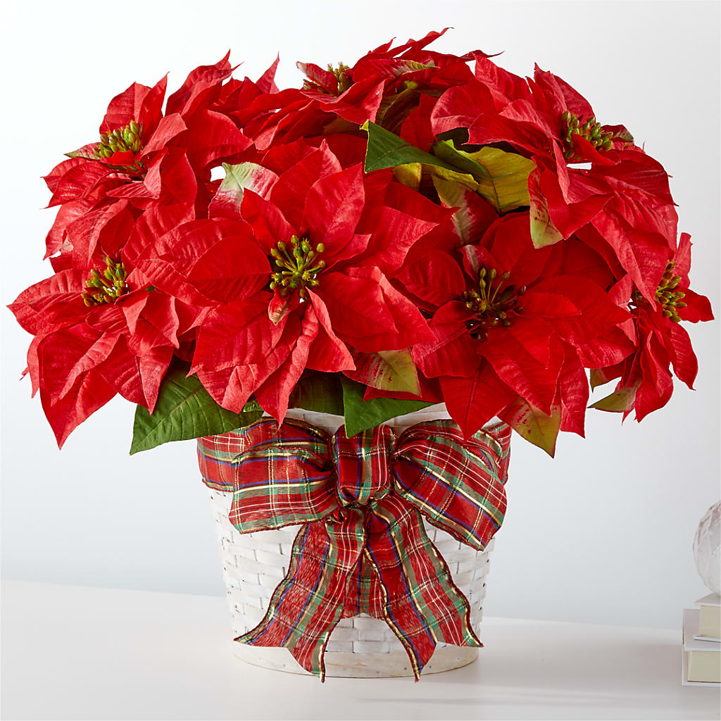 Happiest Holidays Poinsettia – Hirzel Brothers Greenhouse, Toledo OH