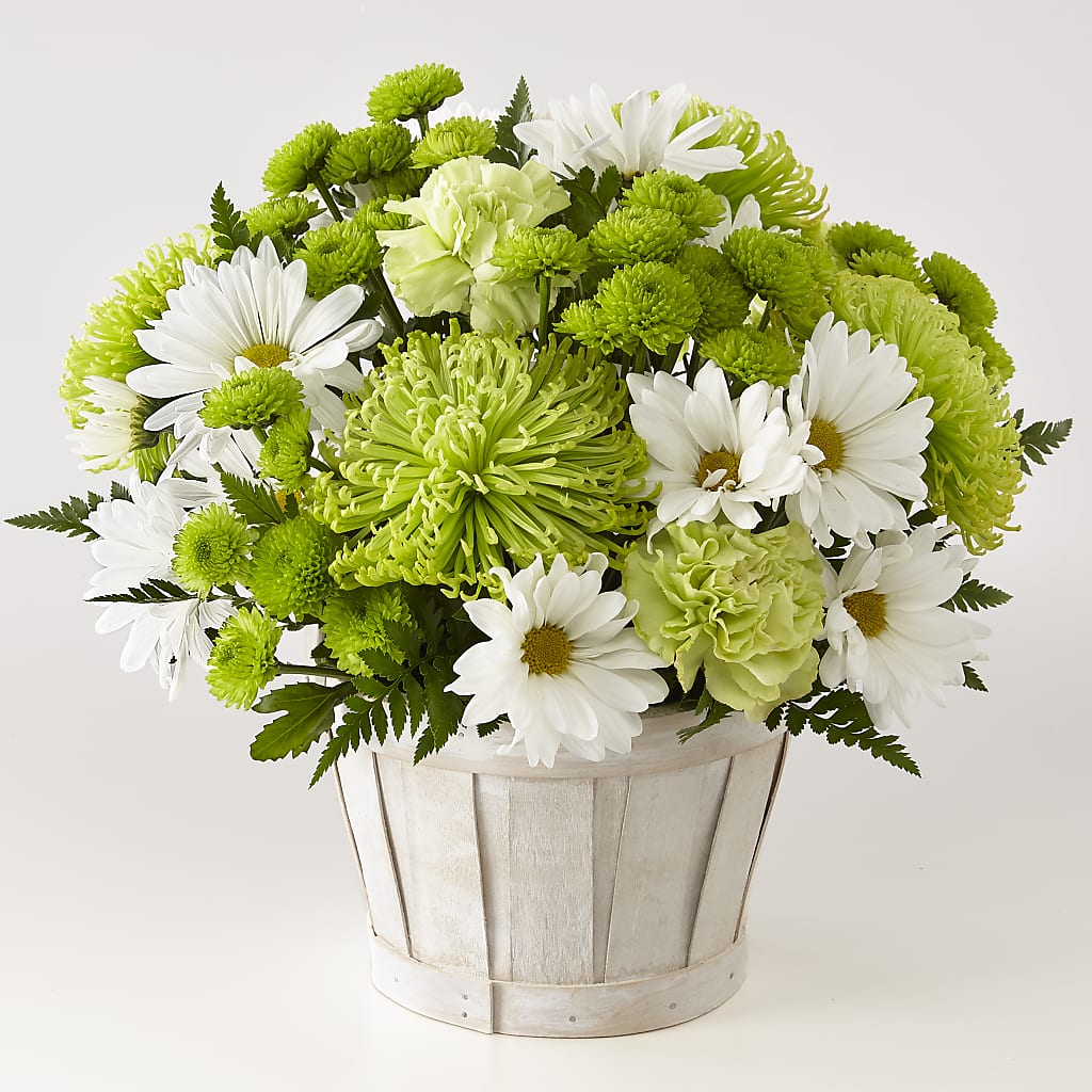 Lucky Charm Basket (Standard) – Hirzel Brothers Greenhouse, Toledo OH