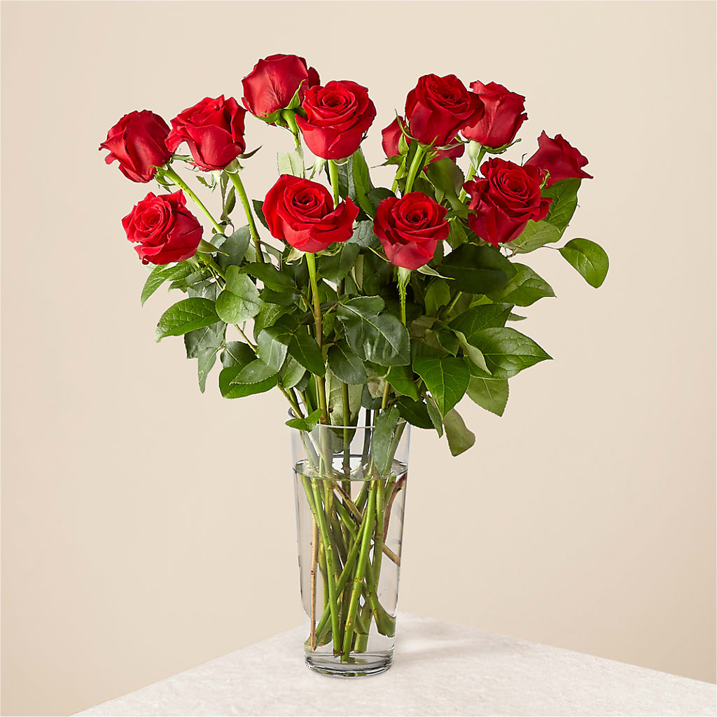 Long Stem Red Rose Bouquet – Hirzel Brothers Greenhouse, Toledo OH