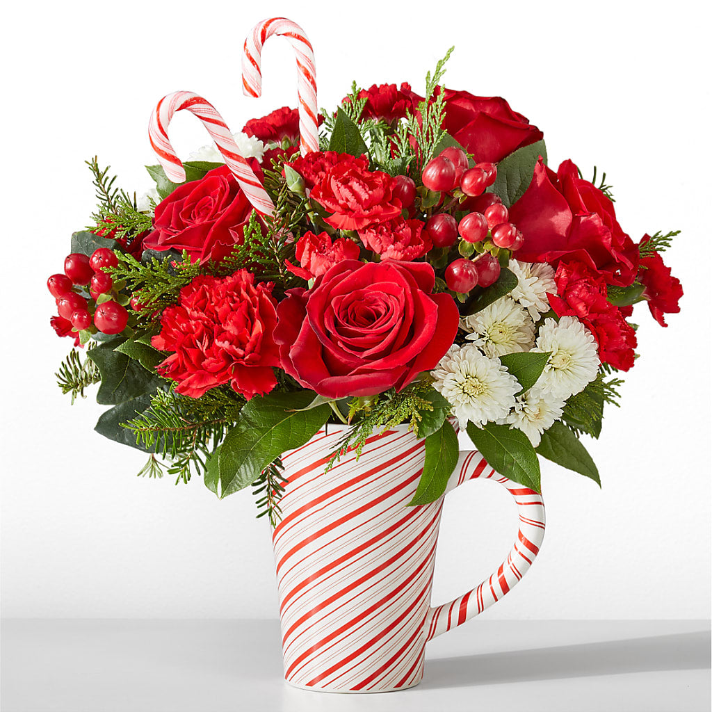 Peppermint Swirl Mug – Hirzel Brothers Greenhouse, Toledo OH