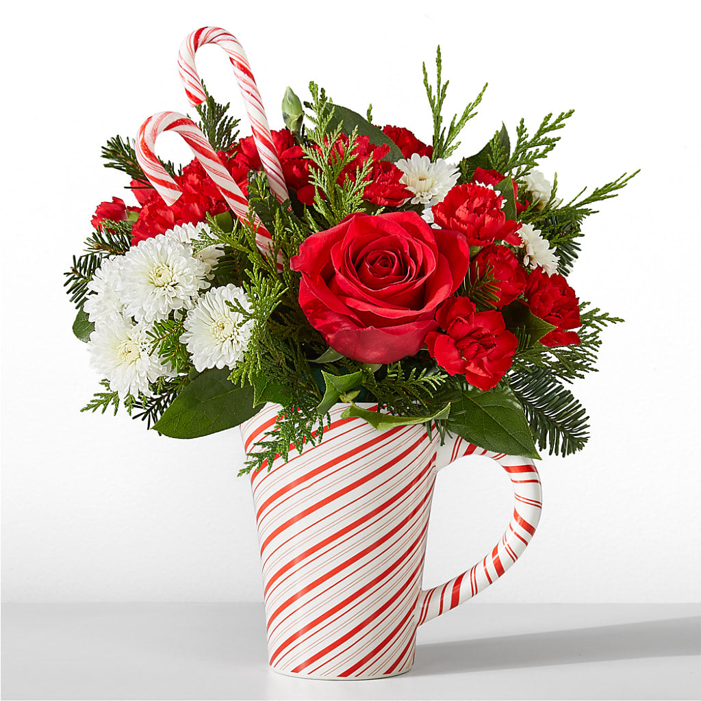 Peppermint Swirl Mug – Hirzel Brothers Greenhouse, Toledo OH