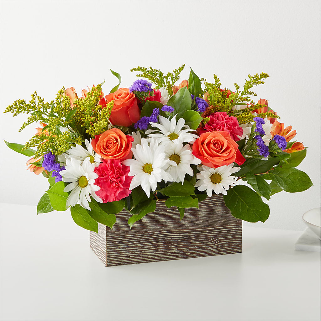 Oopsie Daisy Box Bouquet – Hirzel Brothers Greenhouse, Toledo OH
