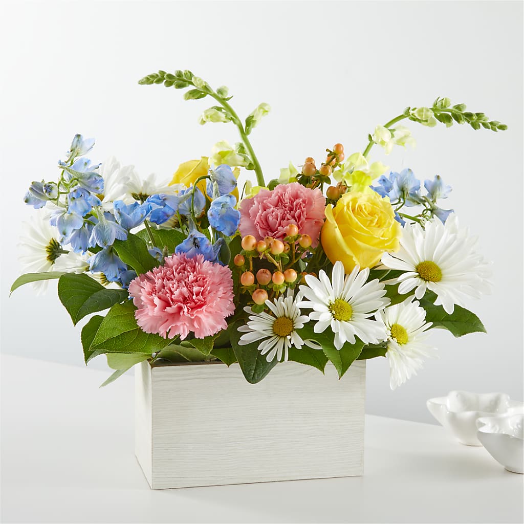 Sun Salutation Box Bouquet – Hirzel Brothers Greenhouse, Toledo OH