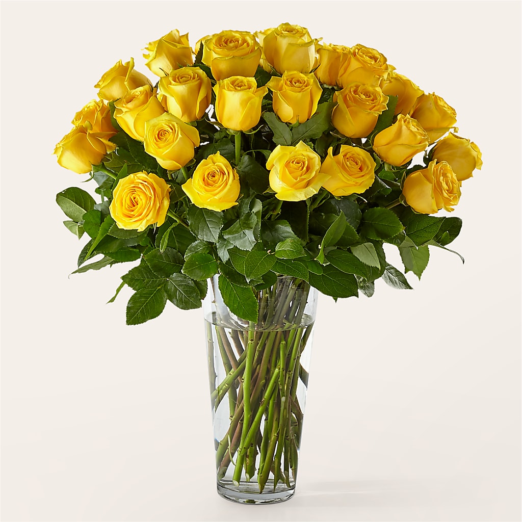 Long Stem Yellow Rose Bouquet – Hirzel Brothers Greenhouse, Toledo OH