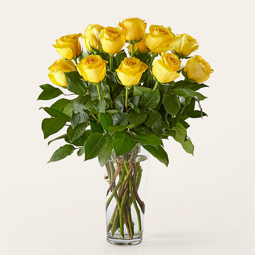 Long Stem Yellow Rose Bouquet – Hirzel Brothers Greenhouse, Toledo OH