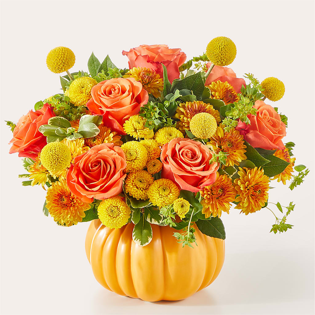 Gourdgeous Pumpkin – Hirzel Brothers Greenhouse, Toledo OH
