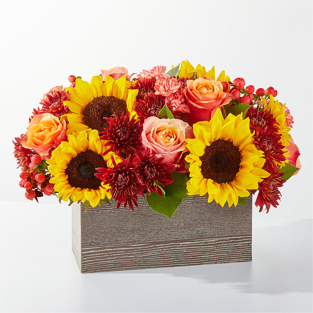 Fresh Cider Bouquet – Hirzel Brothers Greenhouse, Toledo OH