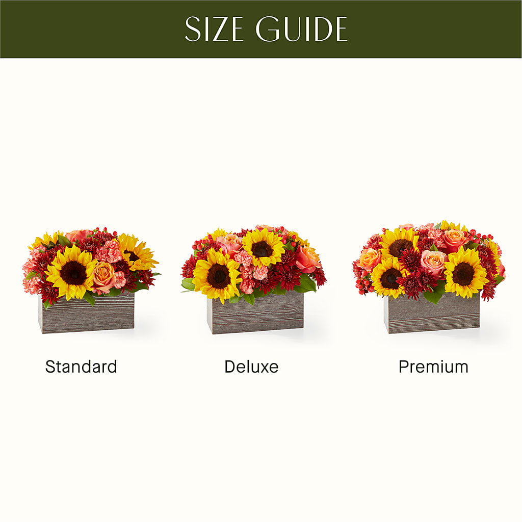 Fresh Cider Bouquet – Hirzel Brothers Greenhouse, Toledo OH