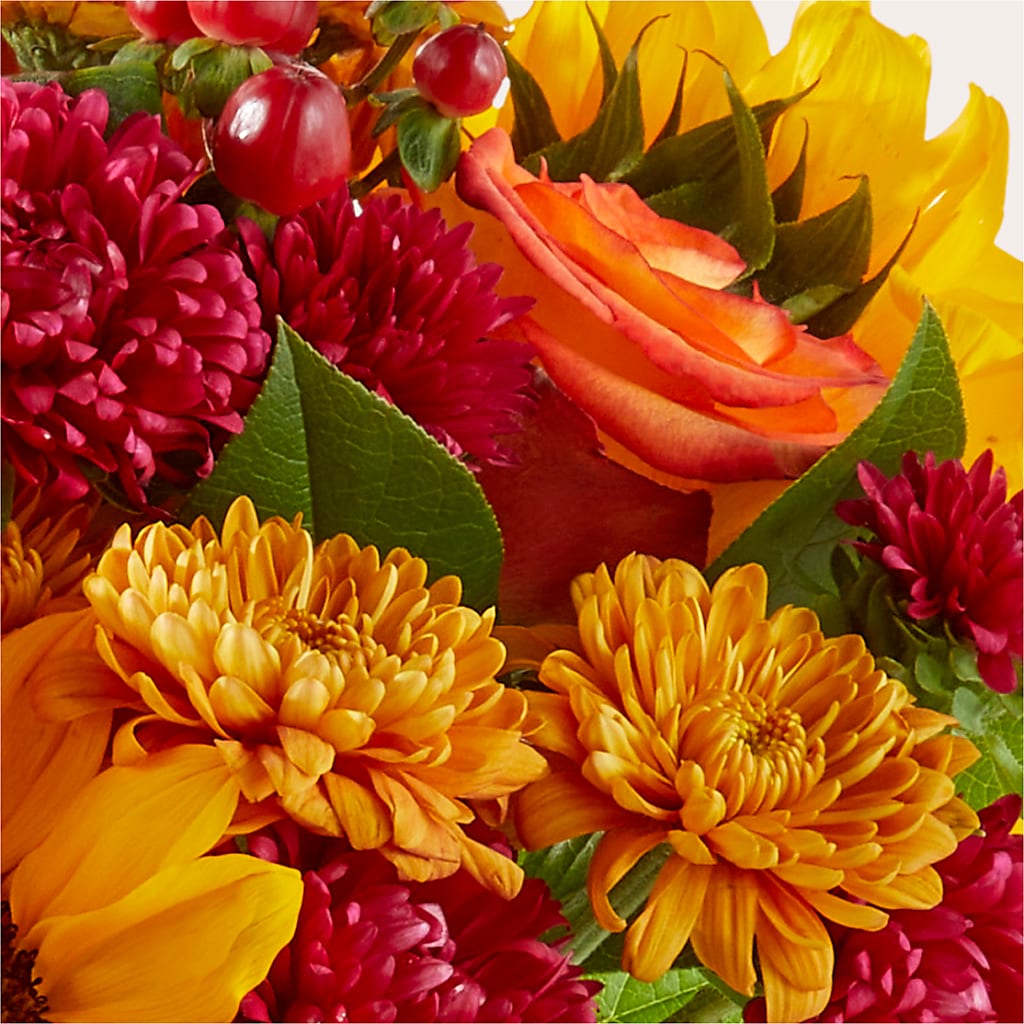 Sweater Season - A Florist Original – Hirzel Brothers Greenhouse, Toledo OH