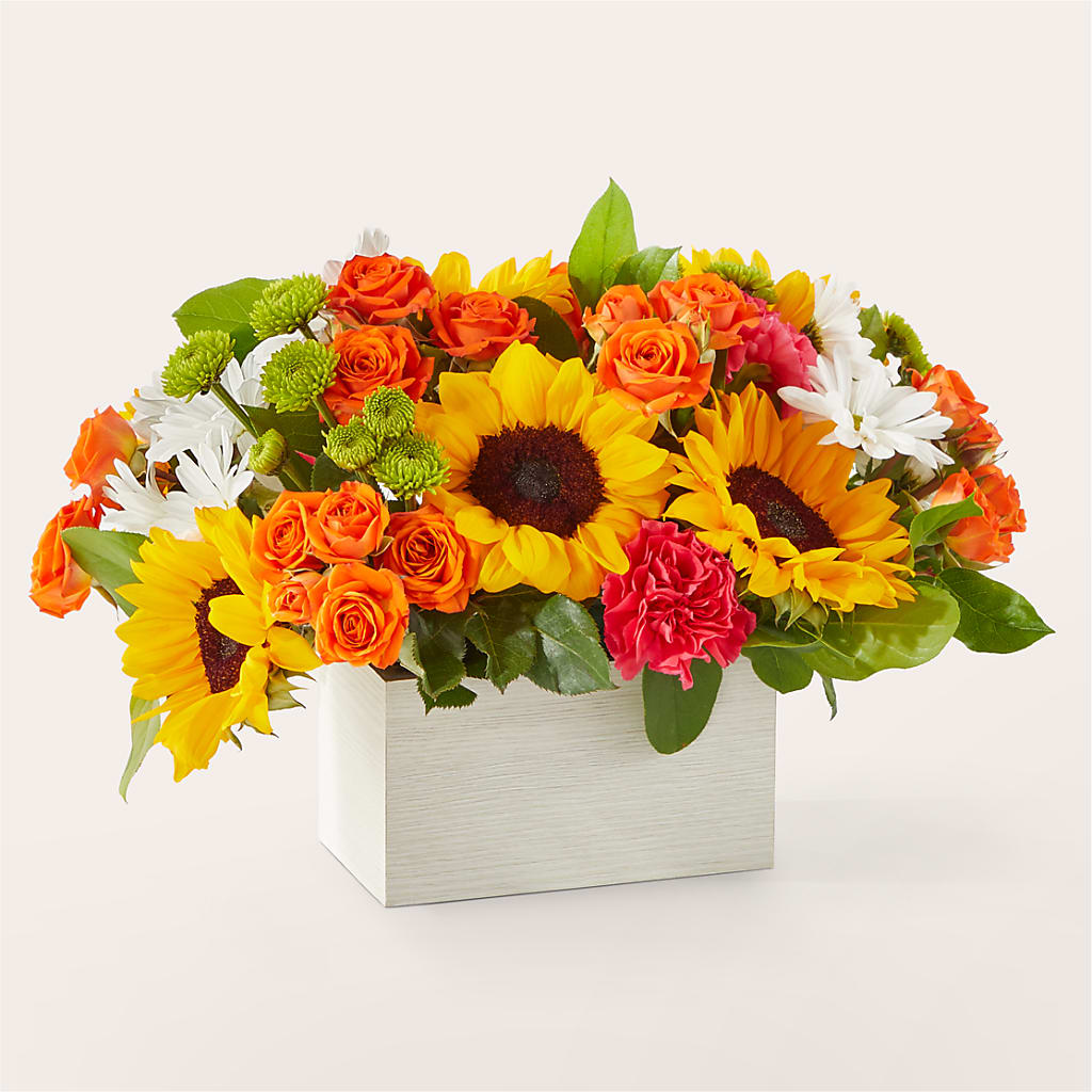 Sun-drenched Blooms Box Bouquet – Hirzel Brothers Greenhouse, Toledo OH