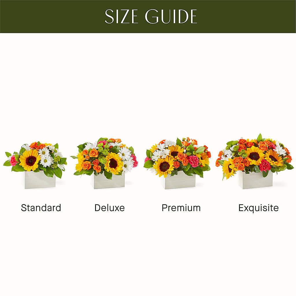 Sun-drenched Blooms Box Bouquet – Hirzel Brothers Greenhouse, Toledo OH