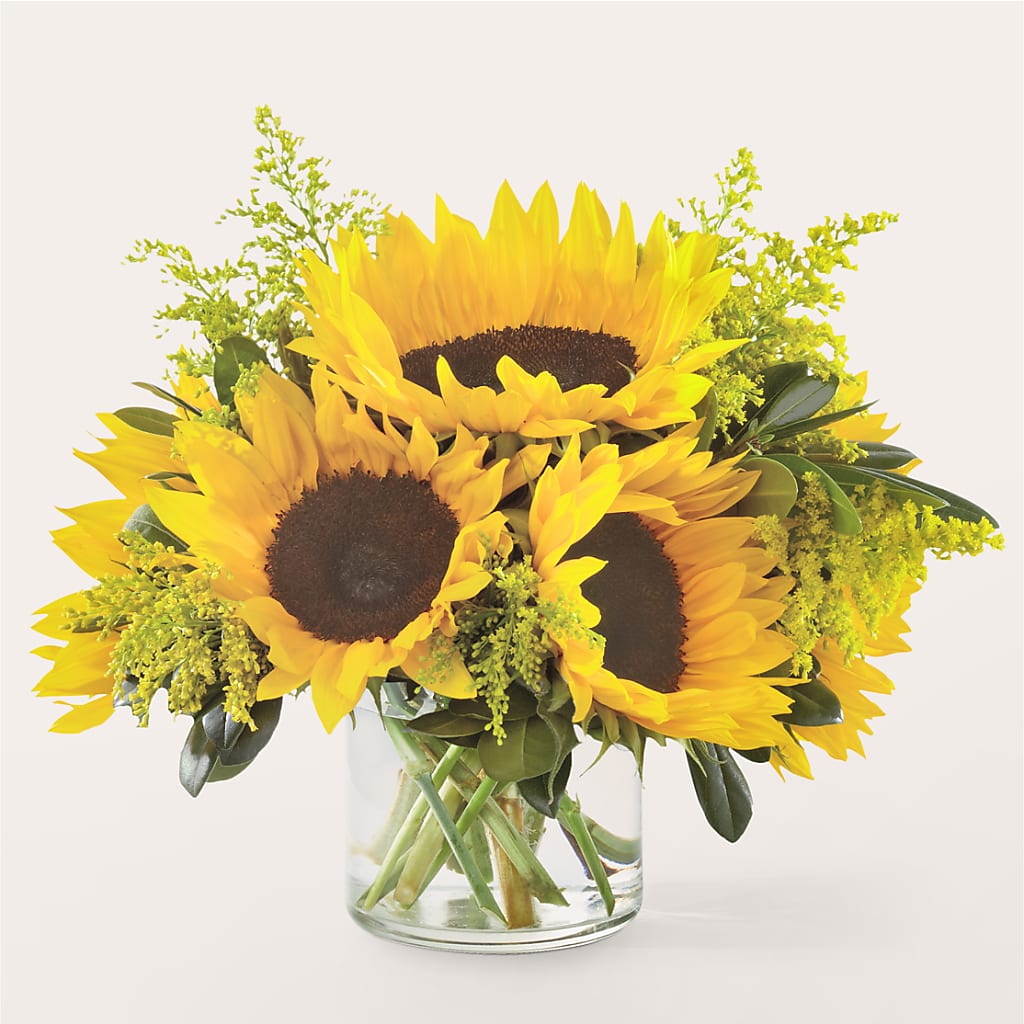 Beaming Sunflower Bouquet – Hirzel Brothers Greenhouse, Toledo OH