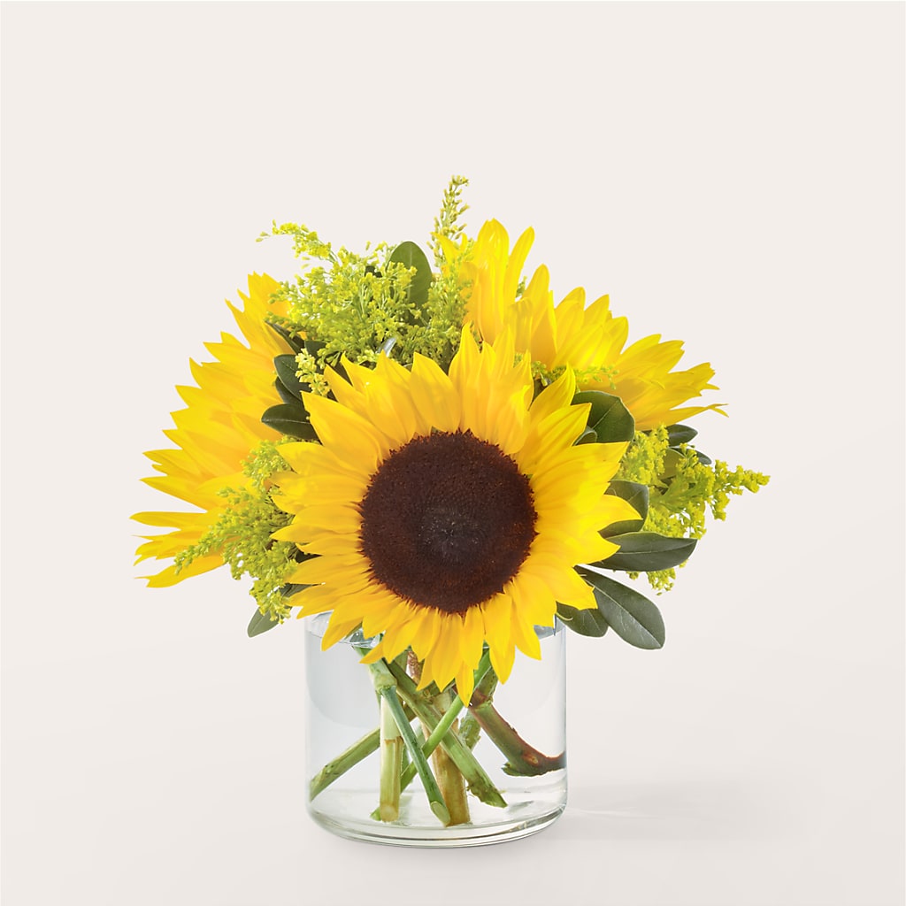 Beaming Sunflower Bouquet – Hirzel Brothers Greenhouse, Toledo OH