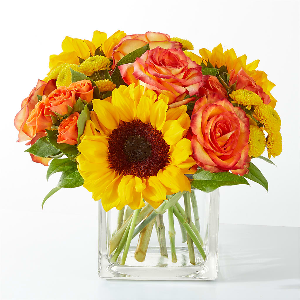 Picnic in the Park Bouquet – Hirzel Brothers Greenhouse, Toledo OH