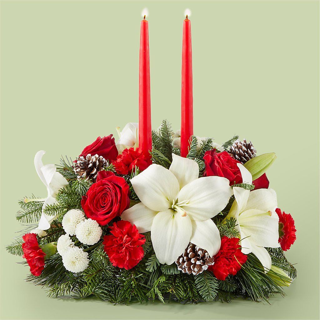 Seasonal Festivities Centerpiece – Hirzel Brothers Greenhouse, Toledo OH