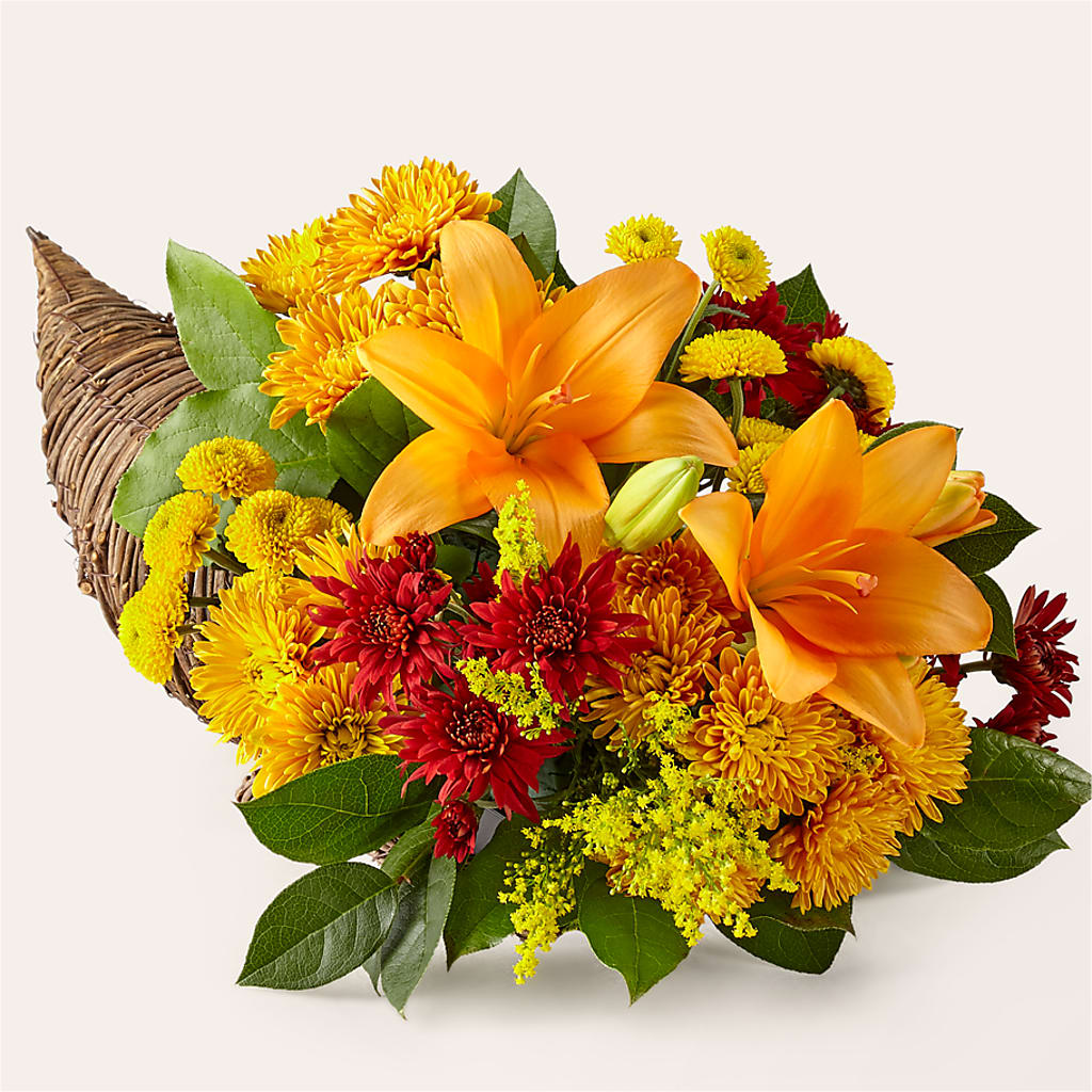 Feast of Color Cornucopia – Hirzel Brothers Greenhouse, Toledo OH