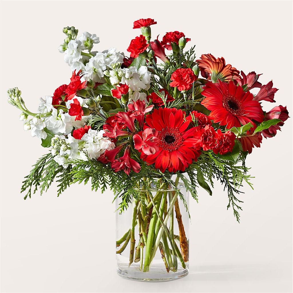 Holidaisy Bouquet – Hirzel Brothers Greenhouse, Toledo OH