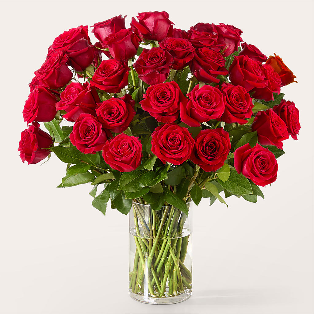 The One Red Rose Bouquet – Hirzel Brothers Greenhouse, Toledo OH