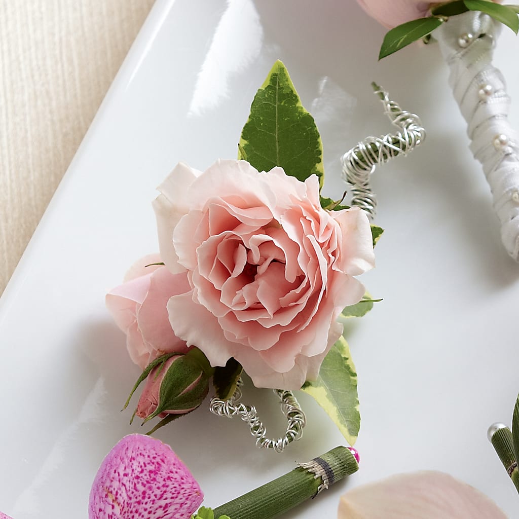Pink Spray Rose Boutonniere – Hirzel Brothers Greenhouse, Toledo OH