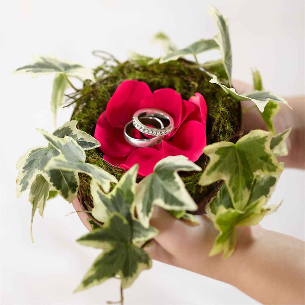 Lila Rose Ring Nest – Hirzel Brothers Greenhouse, Toledo OH
