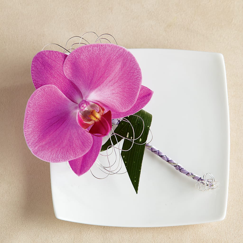 Glorious Boutonniere – Hirzel Brothers Greenhouse, Toledo OH