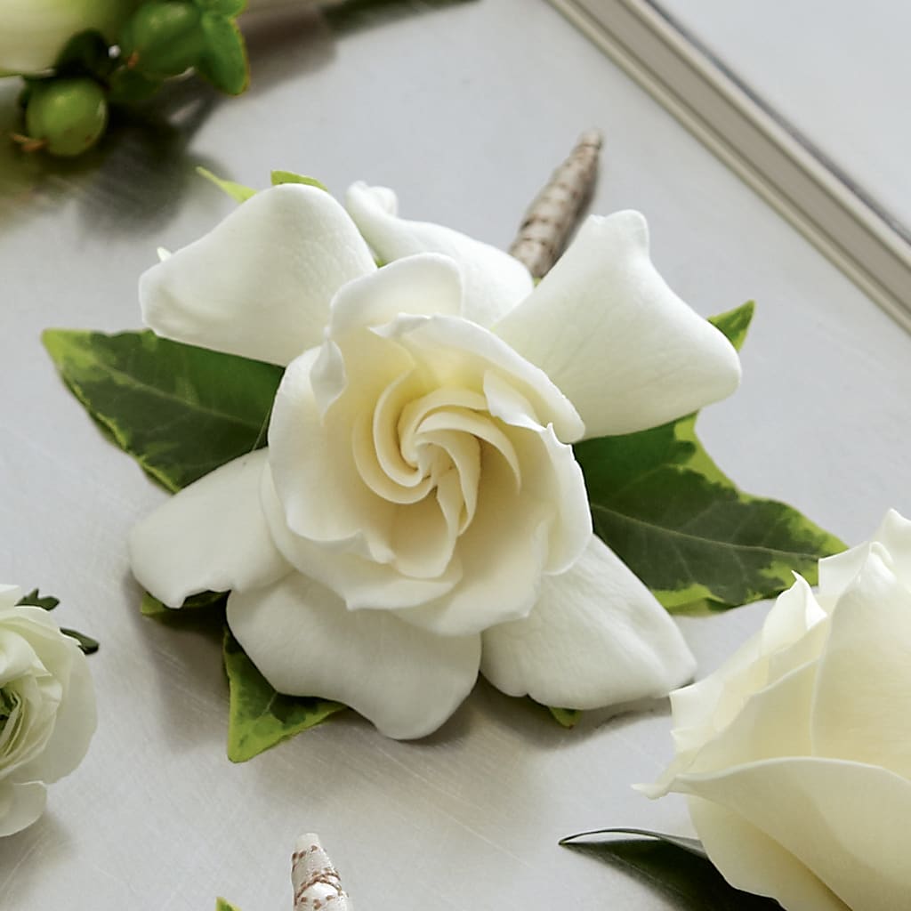 Gardenia Boutonniere – Hirzel Brothers Greenhouse, Toledo OH