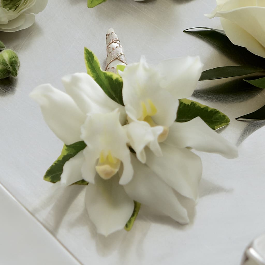 White Mini Cymbidium Boutonniere – Hirzel Brothers Greenhouse, Toledo OH
