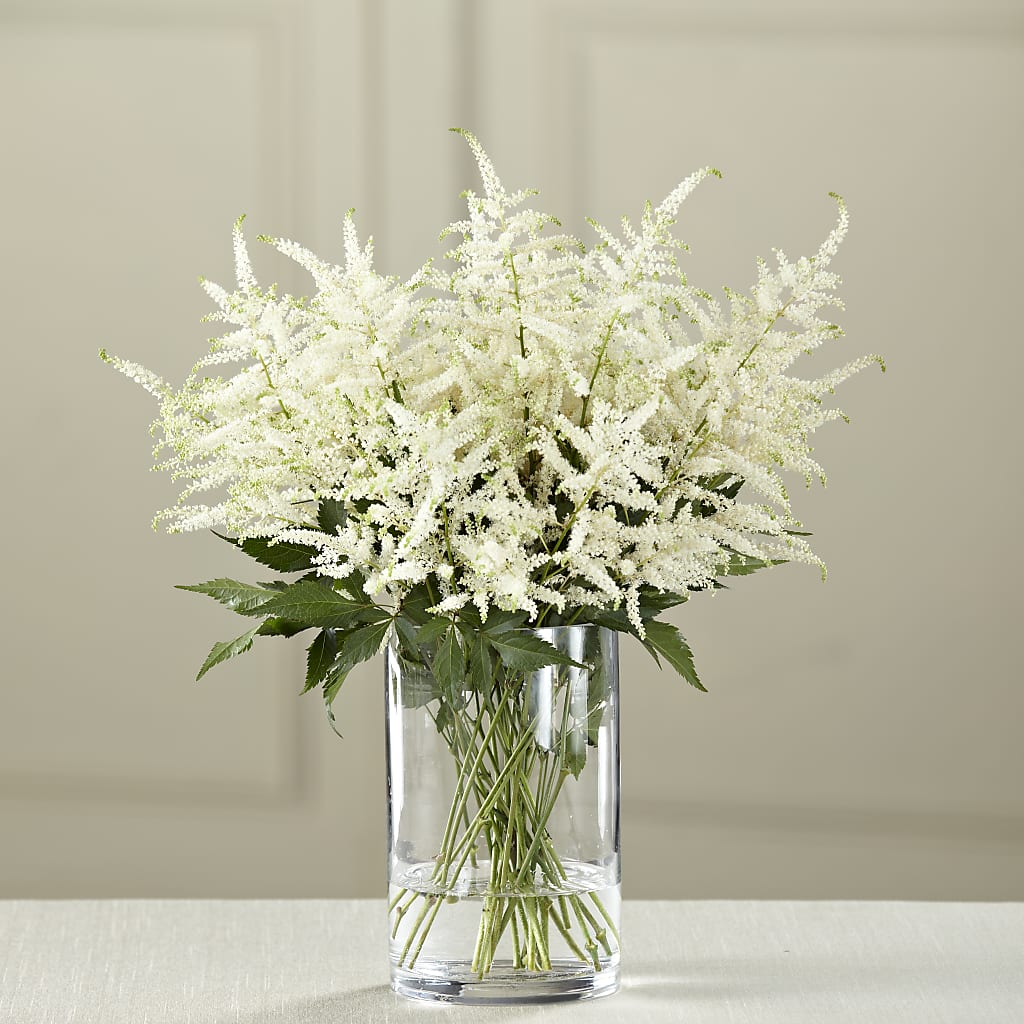 White Astilbe Bouquet – Hirzel Brothers Greenhouse, Toledo OH