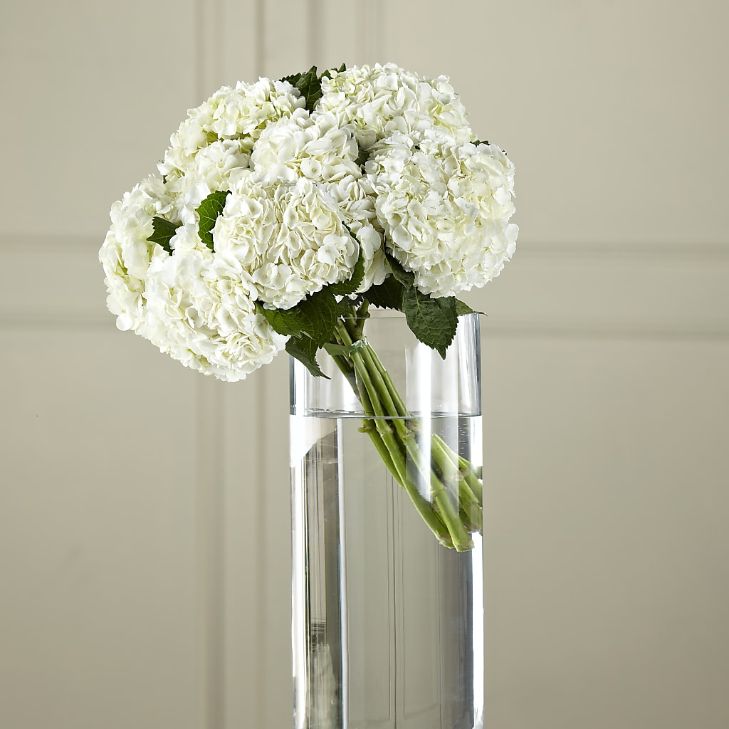 White Hydrangea Hand-Tied Bouquet – Hirzel Brothers Greenhouse, Toledo OH