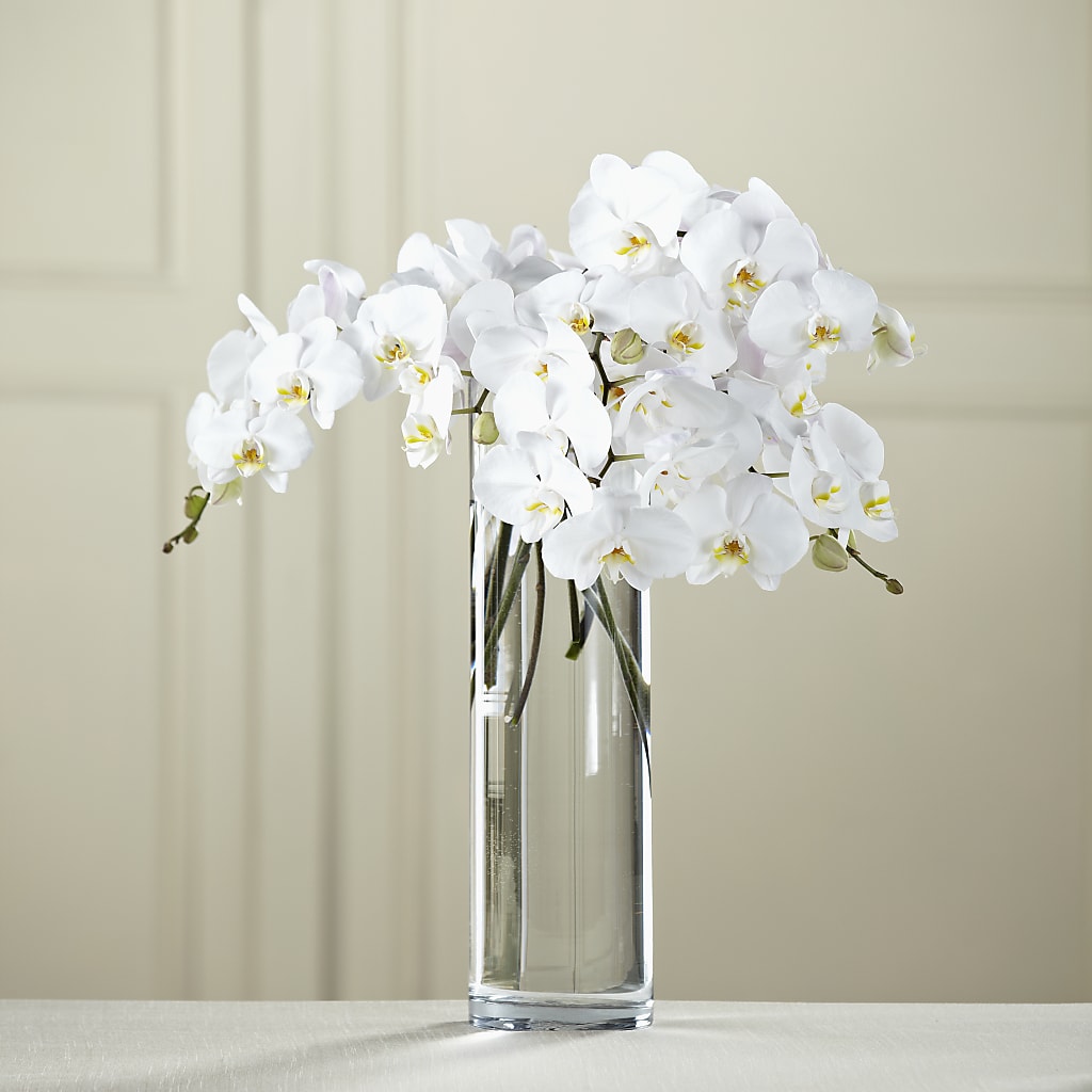 White Phalaenopsis Bouquet – Hirzel Brothers Greenhouse, Toledo OH