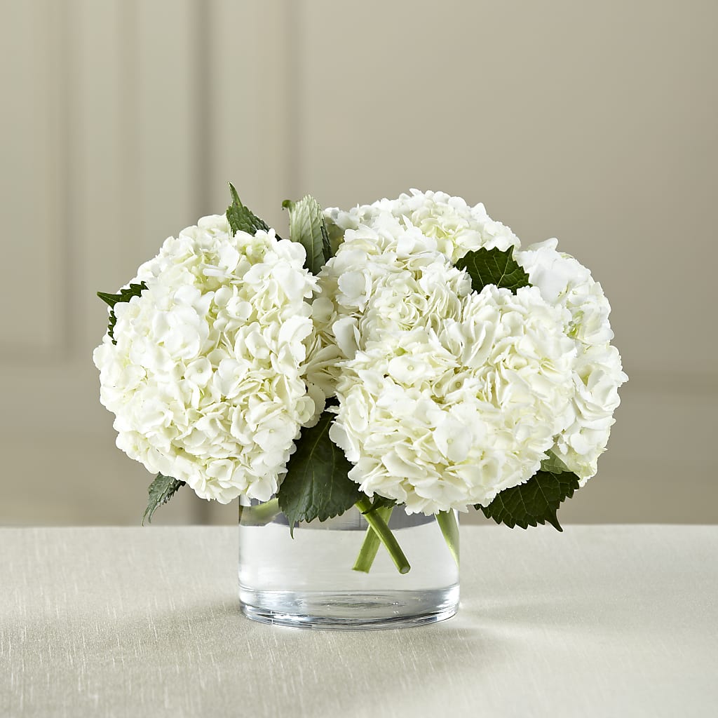 White Hydrangea Bouquet – Hirzel Brothers Greenhouse, Toledo OH