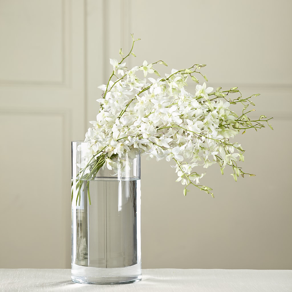 White Dendrobium Bouquet – Hirzel Brothers Greenhouse, Toledo OH