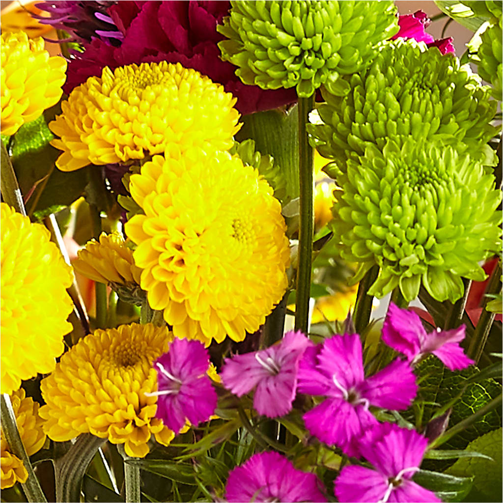 Bold & Bright – A Florist Original –  Hirzel Brothers Greenhouse, Toledo OH
