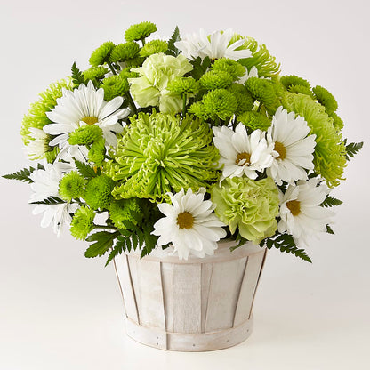 Lucky Charm Basket (Standard) –  Hirzel Brothers Greenhouse, Toledo OH