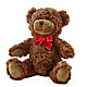 Adorable Plush Bear –  Hirzel Brothers Greenhouse, Toledo OH