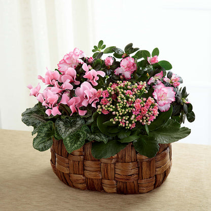 Pink Assortment –  Hirzel Brothers Greenhouse, Toledo OH