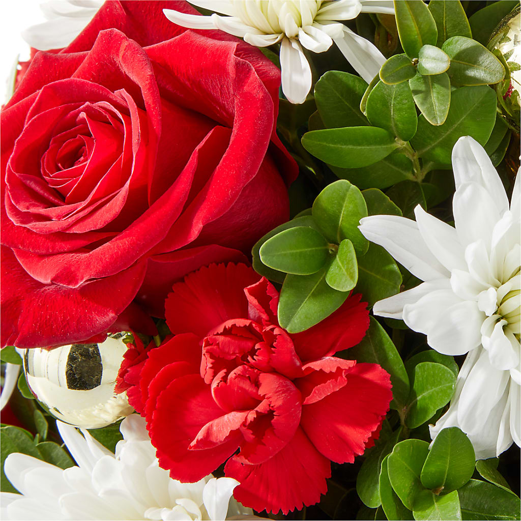 Royal Nutcracker Tree –  Hirzel Brothers Greenhouse, Toledo OH