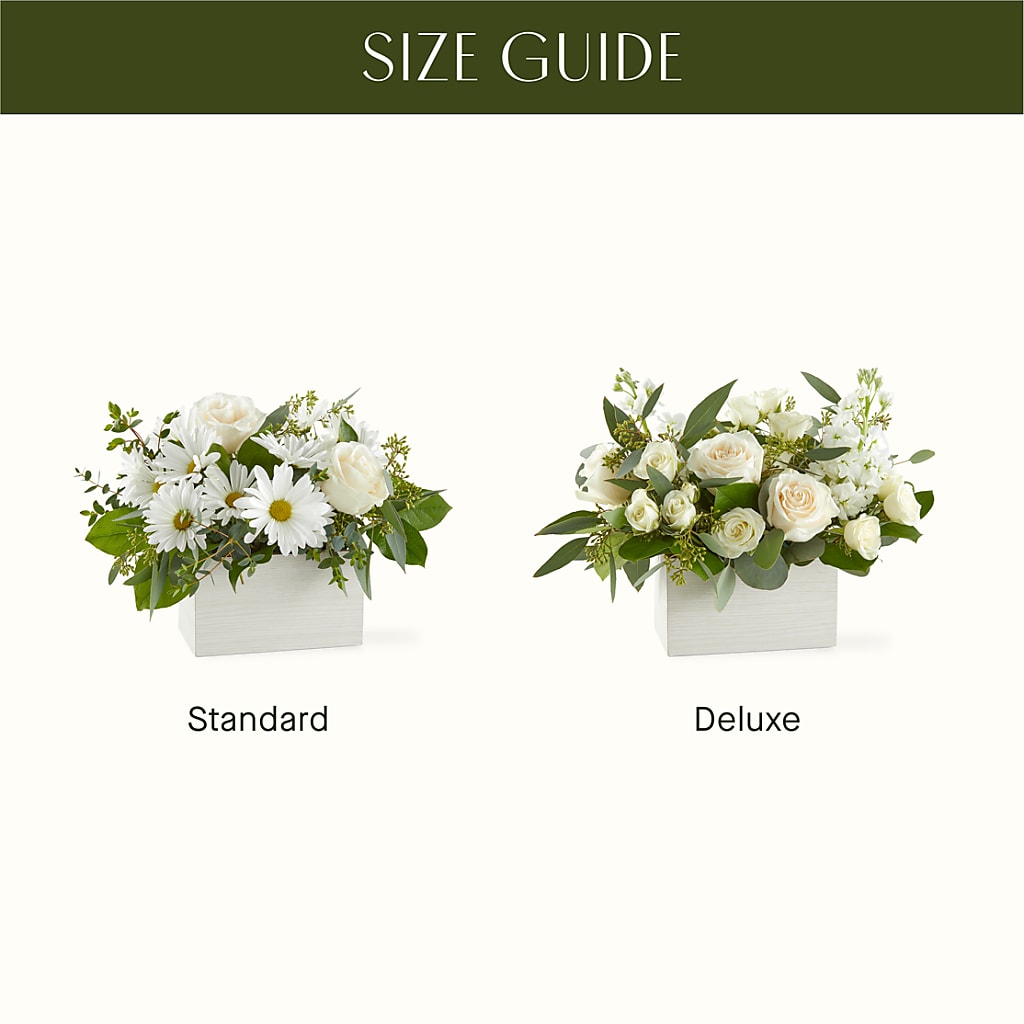 Fresh Linen Box Bouquet –  Hirzel Brothers Greenhouse, Toledo OH