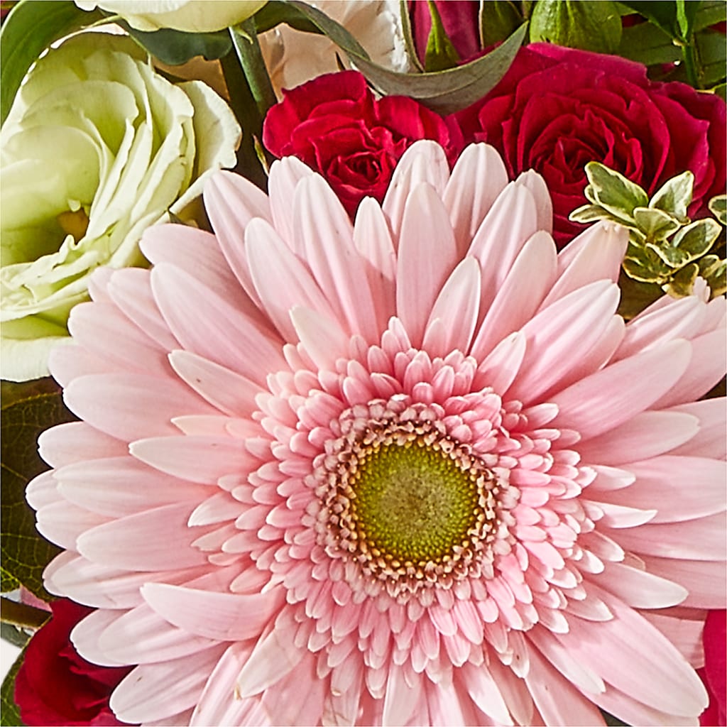 Too Cute Bouquet –  Hirzel Brothers Greenhouse, Toledo OH