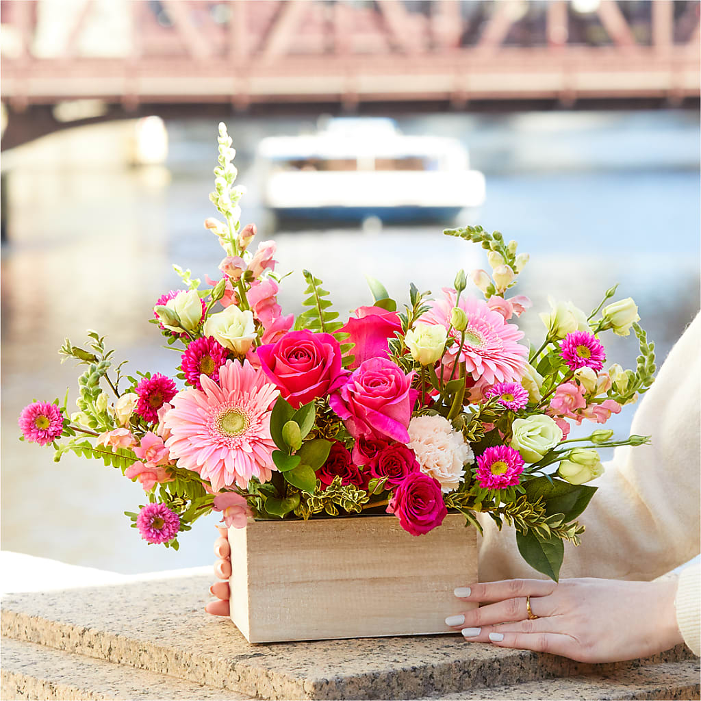 Too Cute Bouquet –  Hirzel Brothers Greenhouse, Toledo OH