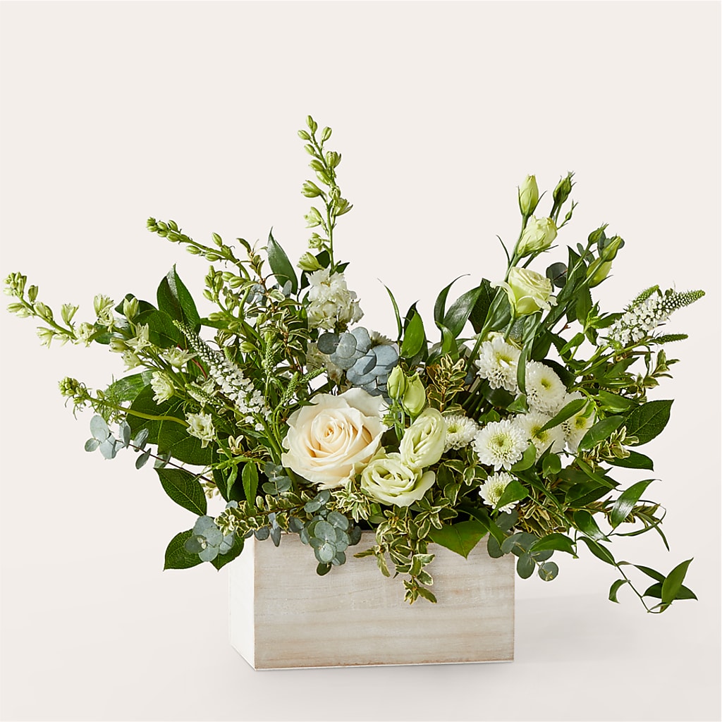 Cashmere Bouquet –  Hirzel Brothers Greenhouse, Toledo OH