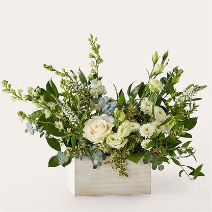 Cashmere Bouquet –  Hirzel Brothers Greenhouse, Toledo OH