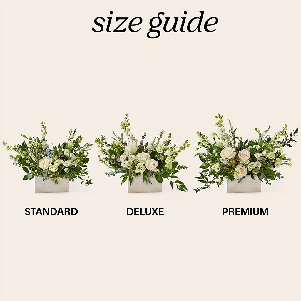 Cashmere Bouquet –  Hirzel Brothers Greenhouse, Toledo OH