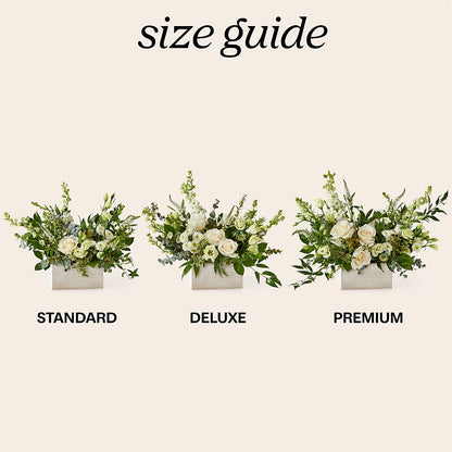 Cashmere Bouquet –  Hirzel Brothers Greenhouse, Toledo OH
