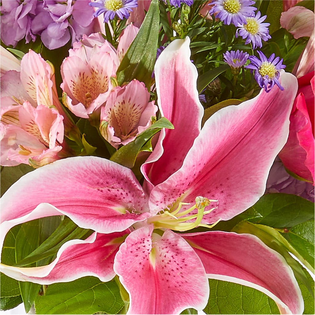 Written in the Stars Bouquet –  Hirzel Brothers Greenhouse, Toledo OH