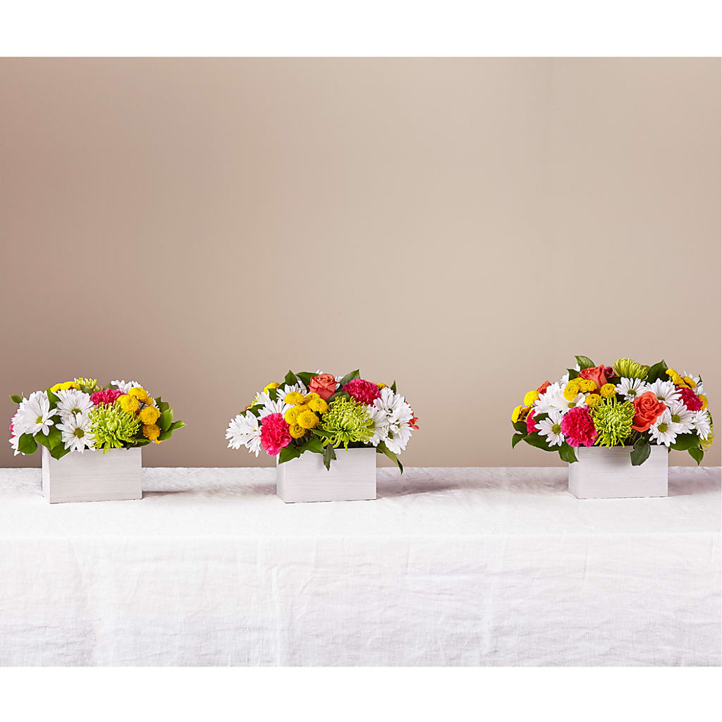 Sorbet Bouquet –  Hirzel Brothers Greenhouse, Toledo OH