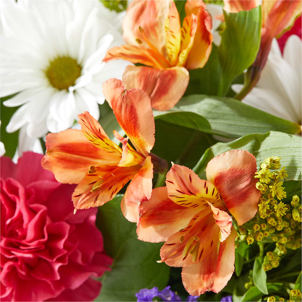 Oopsie Daisy Box Bouquet –  Hirzel Brothers Greenhouse, Toledo OH