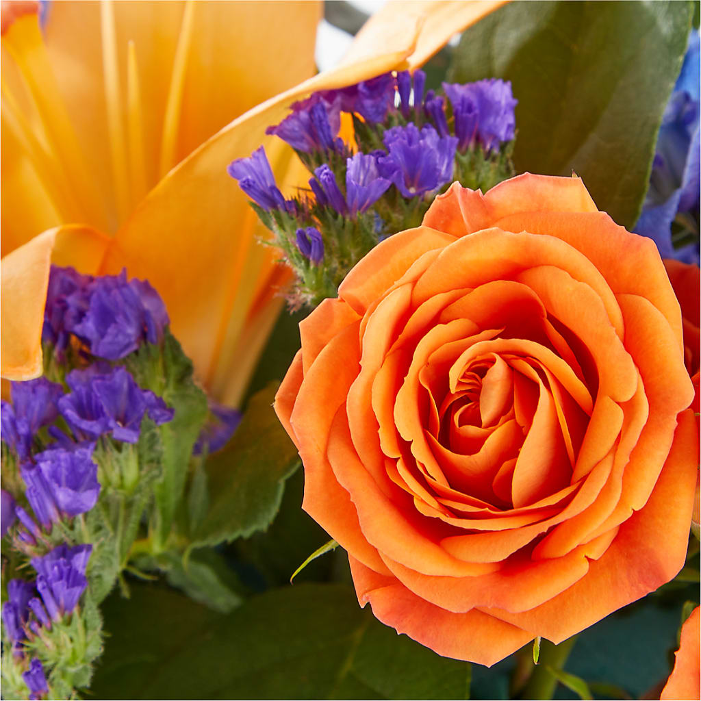 Radiant Citrus Box Bouquet –  Hirzel Brothers Greenhouse, Toledo OH