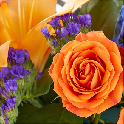 Radiant Citrus Box Bouquet –  Hirzel Brothers Greenhouse, Toledo OH