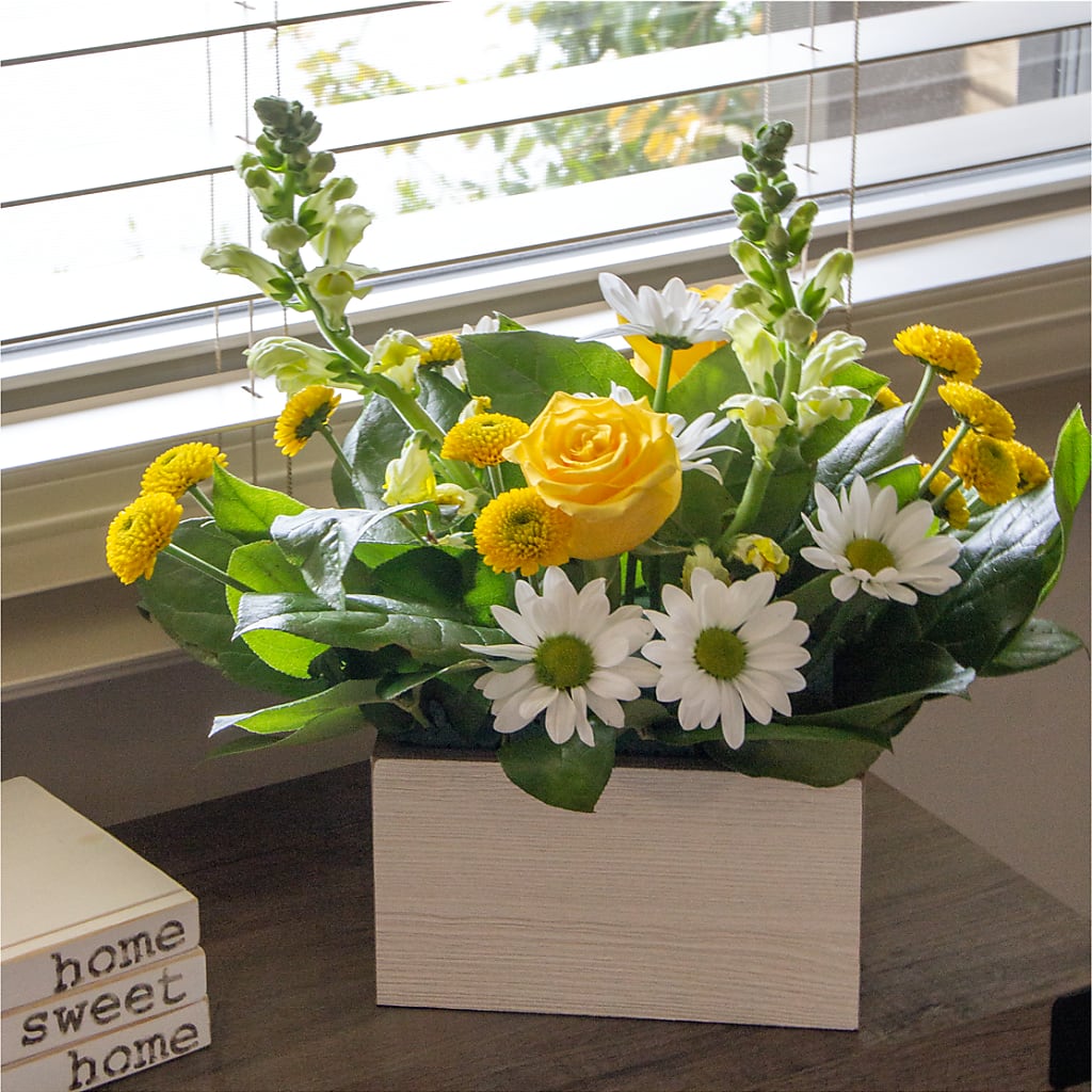 Sun Salutation Box Bouquet –  Hirzel Brothers Greenhouse, Toledo OH